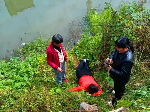 图片2.jpg
