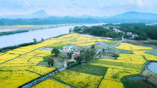 1774352714502087.jpg 图片1.jpg